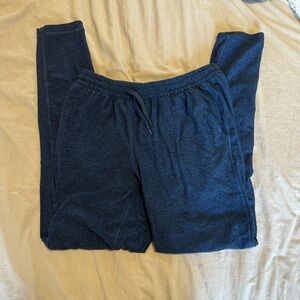 Outdoor voices joggers